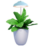 Egle lampada Led per piante