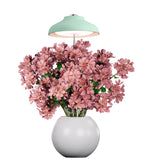 Egle lampada Led per piante