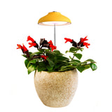 Egle lampada Led per piante