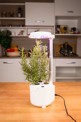 Dafne Smart Garden