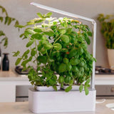 Clizia Smart Garden