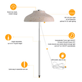 Egle lampada Led per piante