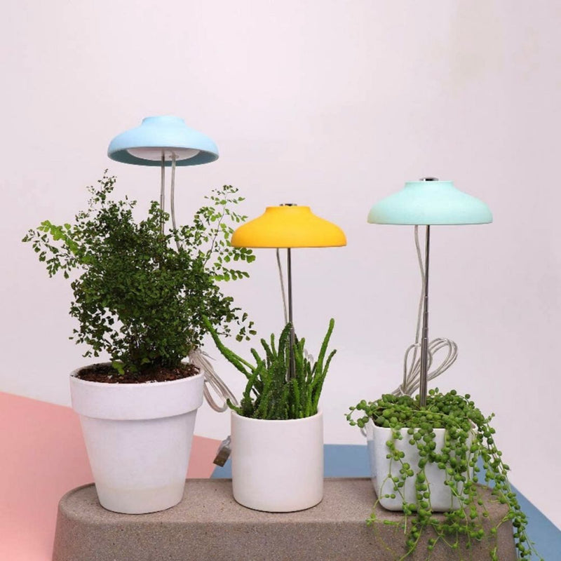 Egle lampada Led per piante